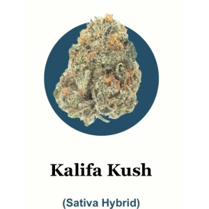 Khalifa Kush THC-A Flower (1-pound packs)