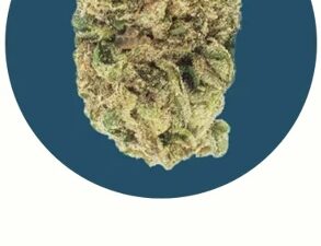 Pop Rocks THC-A Flower (1-pound packs)