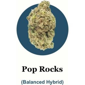 Pop Rocks THC-A Flower (1-pound packs)