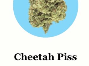 Cheetah Piss THC-A (1-pound packs of silver tier)