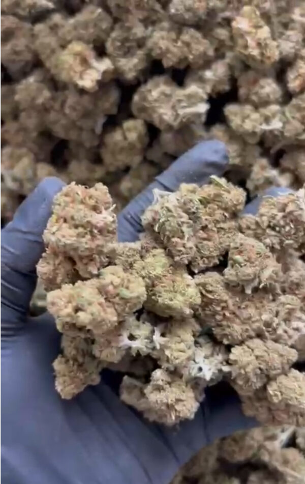 Hemp/CBD Biomass 25-pound pack