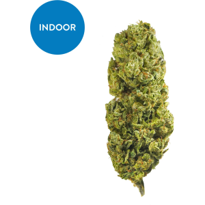Lemon Drop CBD Hemp Flower