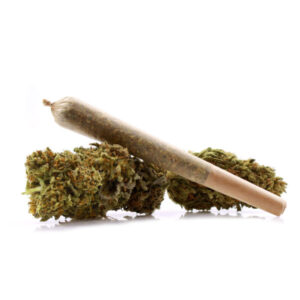 Pre Roll Sativa 100 rolls